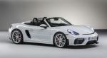 Porsche 718 Spyder 2019 года (WW)